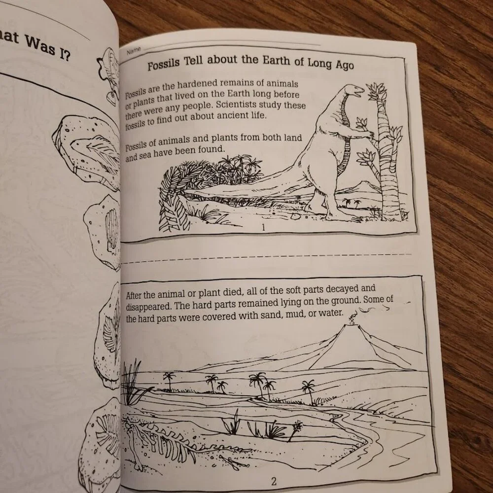 Scienceworks for Kids Series Geology Grades 1-3 by Evan-Moor Book Workbook